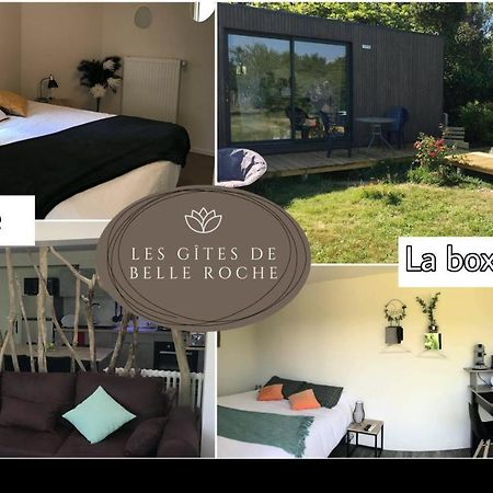 Les Gites De Belle Roche Macon Exterior photo